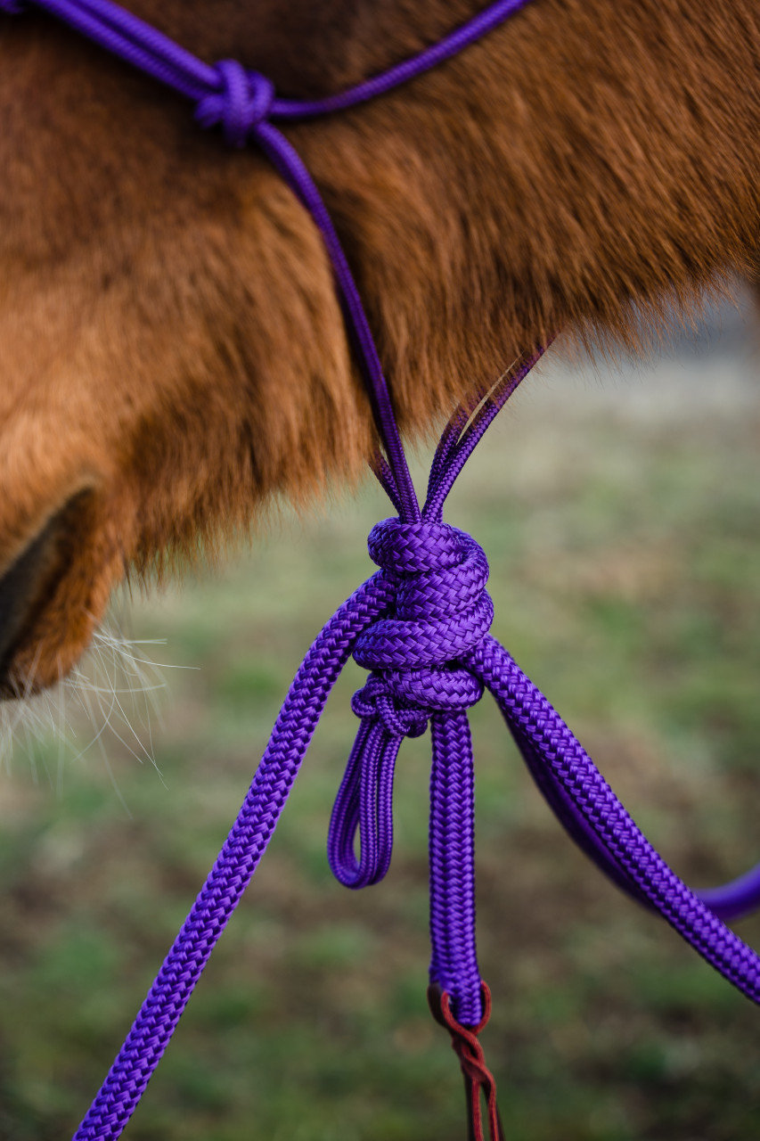 Stiff 2-Knot Hackamore Set (8TF) - Knotty Girlz Equestrian