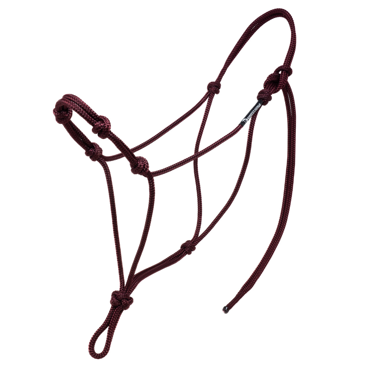 How To Properly Halter Your Horse - Knotty Girlz Equestrian Products