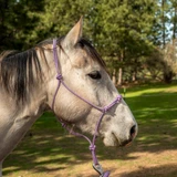 Spring Edition Halter - Lavender