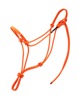 Essential 2 Knot Stiff Halter (See Description)