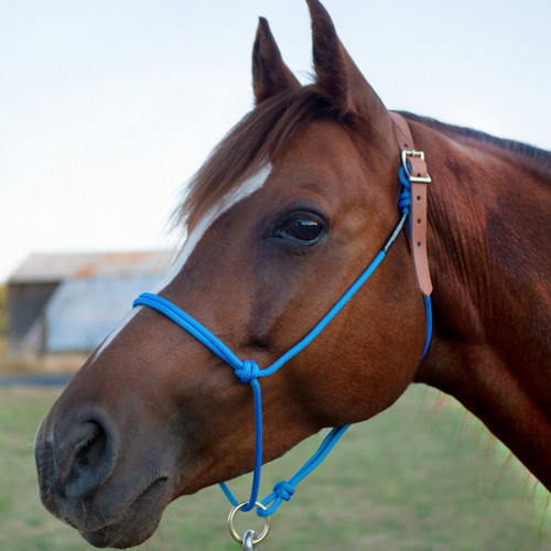 Horse Halter Safety Break Away