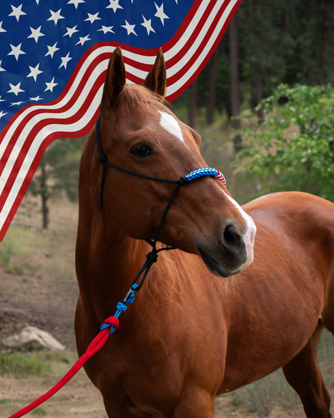 Limited Edition 4th of July Set