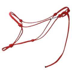 Essential 2 Knot Stiff Halter(See Description)