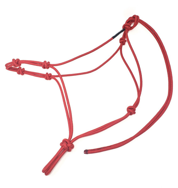 Foundation 4 Knot Stiff Halter(See Description)