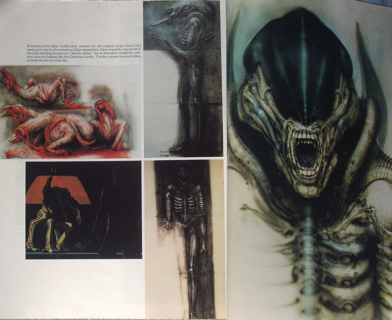1979 THE BOOK OF ALIEN (Paul Scanlon & Michael Gross) USED