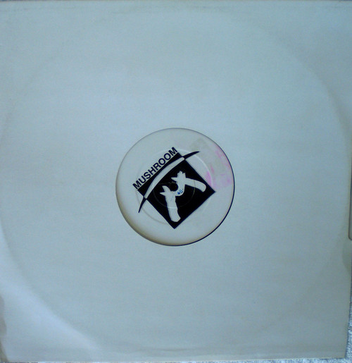 Acid House - BASS CULTURE I've Learned To Cope 12" Vinyl 1994