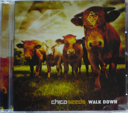 Indie Alternative Grunge Rock - CHICO SEEDS Walk Down CD 2013