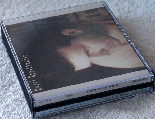 Pop Soft Rock - DARYL BRAITHWAITE Rise Plus Daryl Braithwaite In Concert 2x CD (Fat Box Limited Release) 1991