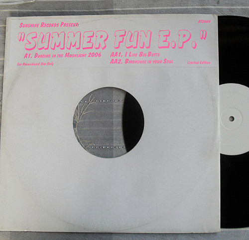 House - Summer Fun (Sunshine Records) 12" Vinyl Promo EP 1986