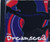 Alternative Rock - THE DREAMSEED Psychedelic Rainbow CD EP 1995