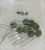 OLIVE GREEN HV Disc Ceramic Capacitor (1) .0033uF (3300pF) 630V NEW Old Stock (Tested)