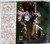 Medieval Andean Folk - GRUPO PREHISPANICO  DE XCARET (Xcaret Prehispanic Group) - Un Día Maya (A Mayan Day) CD (Deluxe Slip Case Version) 1999