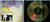 Indie Rock - GLIDE Pretty Mouth CD EP 1991