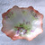 1909 ~ 1922 MZ ALTROHLAU CM-R (Czechoslovakia) 10" x 8" Porcelain Oval Table Bowl