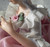 Mid 1950's  SANDIZELL Herr Höfner (Saxony Germany)  "Dresden Lace" Porcelain Noble Lady Receiving Visitors