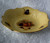 Cheerful "Contemporary" AYNSLEY  "Orchard Gold" Fine Bone China Trinkets Dish