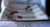 Australian ROBERT GORDON POTTERY Wild Poppies (With Bees!) Earthy Tones 34cm (13.25") Table Platter Square Dish