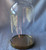 BEGAVNING 25cm Tall GLASS DOME With Gold Coloured Metallic Base