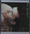 Pop Soft Rock - DARYL BRAITHWAITE Rise Plus Daryl Braithwaite In Concert 2x CD (Fat Box Limited Release) 1991