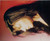 Pop Rock - JENNY MORRIS Shiver Vinyl 1989 