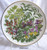 WEDGWOOD Display Plate FEBRUARY  Flowers Of The Year Series 1977