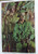 WWII AUSTRALIAN ARMY BOOK - Khaki And Green 1943 Edition Plus ...