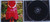 Acoustic Rock Pop - MAYFLY (Skipping Girl Vinegar) The Palais EP CD 2002