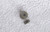 Ex W&G (Germany) Professional Collet  23mm Knob (Grey 1/4" Shaft)