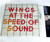 Pop Rock - Wings At The Speed Of Sound Vinyl 1976 