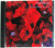 Soundscapes - TALL POPPIES An Australian Collection (Compilation) CD 1994