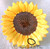 CERAMIC Sunflower Dish With Display Stand (You Light Up My Day!)