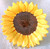 CERAMIC Sunflower Dish With Display Stand (You Light Up My Day!)