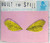 Indie Rock - BUILT TO SPILL Carry The Zero CD EP 1999