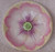 1950's ~ 1960's ROYAL STAFFORD (England) Pin Dish (Small Pink Purple Floral) Hand Painted