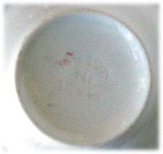 standard-teacup-old-english-porcelain-johnson-brothers-cherry-blossoms-jb734-hand-decorated-underneath-closeup.jpg