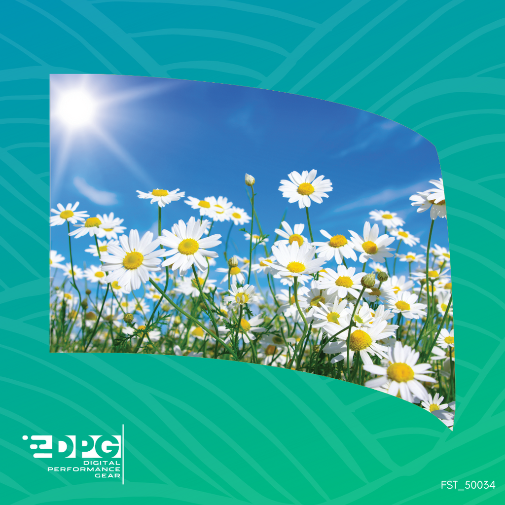 Daisies Standard Guard Flag (FST_50034)