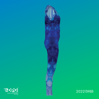 Shades of Blue (Unitard) 20221398B