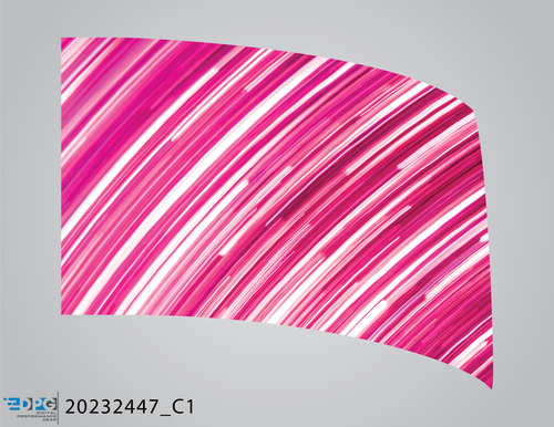20232447_C1