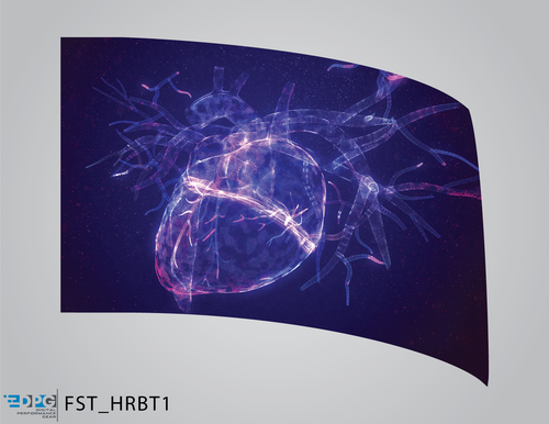 Heartbeat Collection - Brain Function Standard Flag (FST_HRBT1)