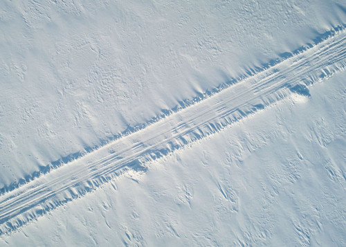 Winter Wonderland Collection - Floor/Tarp