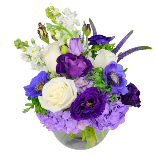 Elevate any occasion with the sophisticated beauty of Royal Purple, an exquisite arrangement that blends regal jewel tones with crisp, classic contrast