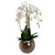 terrarium