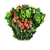 HYPERICUM 10 STEM BU