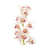 Orchid Cymbidium Spray Stem