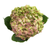Hydrangea Antique