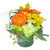 Bring home the sunshine with striking bi-color orange roses, golden alstroemeria, and soft green hydrangeas. Framed by delicate seeded eucalyptus in a low glass bowl, this piece lights up any space