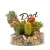 DAD’S TERRARIUM