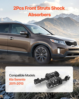 Front Shock Absorber Strut Assembly, 2Pcs Shock and Strut Assembly with Coil Spring, Compatible wit E415-QCZZJZQQ2GTZOSCJVV0