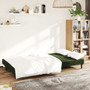 Sofa Bed Dark green Velvet (100% polyester), wood, plastic A949-375734