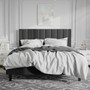 Queen size Modern Black Velvet Upholstered Platform Bed with Headboard Q280-QBLAVWPB207925341